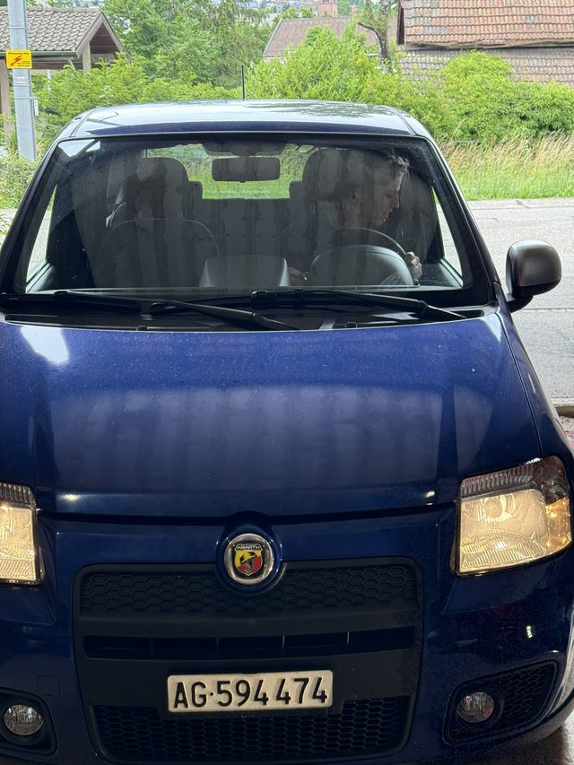 Fiat Panda 100HP "Hanspeter"